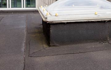 disadvantages of Ellastone flat roofs